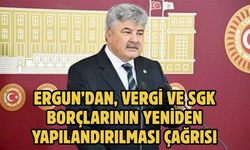 Ergun’dan, vergi ve SGK borçlarının yeniden yapılandırılması çağrısı