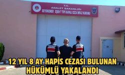 12 yıl 8 ay hapis cezası bulunan hükümlü yakalandı