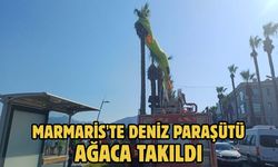 Marmaris'te deniz paraşütü ağaca takıldı