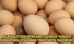 Resmî Gazetede yayımlandı: Sofralık yumurta ihracatında uygulanan fon kesintisi kaldırıldı