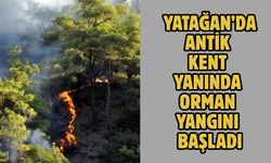 Yatağan’da antik kent yanında orman yangını başladı