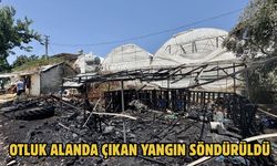 Otluk alanda çıkan yangın söndürüldü