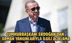 Cumhurbaşkanı Erdoğan'dan orman yangınlarıyla ilgili açıklama