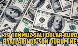 29 TEMMUZ SALI DOLAR-EURO FİYATLARINDA SON DURUM NE?