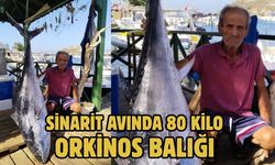 SİNARİT AVINDA 80 KİLO ORKİNOS BALIĞI
