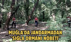 Muğla'da jandarmadan "sığla ormanı nöbeti"