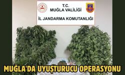 Muğla'da uyuşturucu operasyonu