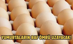 YUMURTALARIN RAF ÖMRÜ UZAYACAK!