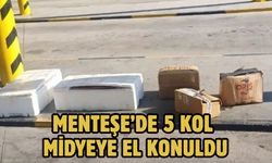 MENTEŞE’DE 5 KOLİ MİDYEYE EL KONULDU
