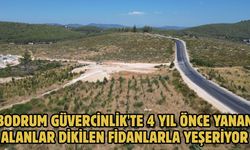 Bodrum Güvercinlik'te 4 yıl önce yanan alanlar dikilen fidanlarla yeşeriyor