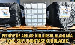 Fethiye'de arılar için kırsal alanlara içme suyu noktası kurulacak