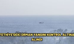 Fethiye'deki orman yangını kontrol altına alındı