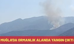 Muğla'da ormanlık alanda yangın çıktı
