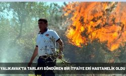 Yalıkavak'ta tarlayı söndüren bir itfaiye eri hastanelik oldu