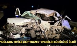 Muğla'da tır ile çarpışan otomobilin sürücüsü öldü