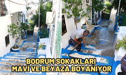 Bodrum sokakları mavi ve beyaza boyanıyor