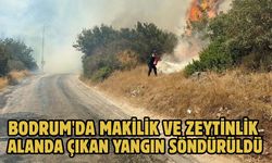 Bodrum'da makilik ve zeytinlik alanda çıkan yangın söndürüldü