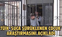 TÜİK 'suça sürüklenen çocuk' araştırmasını açıkladı