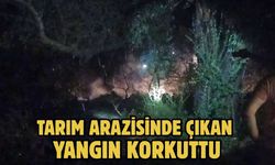Tarım Arazisinde Çıkan Yangın Korkuttu
