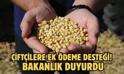 Çiftçilere ek ödeme desteği! Bakanlık duyurdu