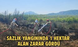 Sazlık yangınında 1 hektar alan zarar gördü