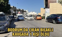Bodrum'da çıkan bıçaklı kavgada 1 kişi öldü