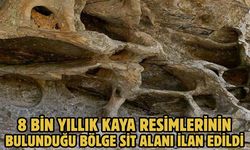 8 bin yıllık kaya resimlerinin bulunduğu bölge sit alanı ilan edildi