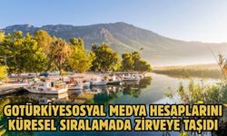 GoTürkiyesosyal medya hesaplarını küresel sıralamada zirveye taşıdı