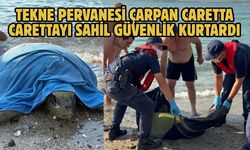 Tekne pervanesi çarpan caretta carettayı sahil güvenlik kurtardı