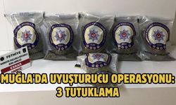 Muğla'da uyuşturucu operasyonu: 3 tutuklama