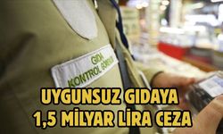 Uygunsuz gıdaya 1,5 milyar lira ceza