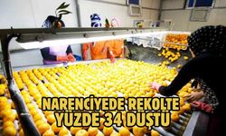 NARENCİYEDE REKOLTE YÜZDE 34 DÜŞTÜ