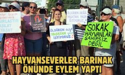 Hayvanseverler Barınak Önünde Eylem Yaptı
