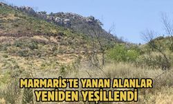 Marmaris'te yanan alanlar yeniden yeşillendi