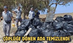 Çöplüğe Dönen Ada Temizlendi