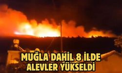 Muğla dahil 8 ilde alevler yükseldi