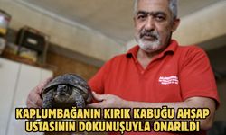 Kaplumbağanın kırık kabuğu ahşap ustasının dokunuşuyla onarıldı