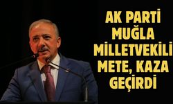 AK Parti Muğla Milletvekili Mete, kaza geçirdi