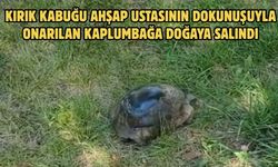 Kırık kabuğu ahşap ustasının dokunuşuyla onarılan kaplumbağa doğaya salındı