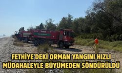 Fethiye'deki orman yangını hızlı müdahaleyle büyümeden söndürüldü