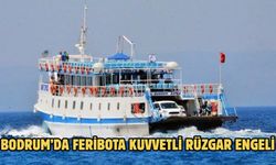 Bodrum’da feribota kuvvetli rüzgar engeli