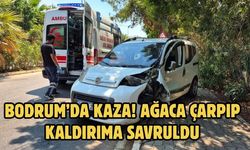 BODRUM’DA KAZA! AĞACA ÇARPIP KALDIRIMA SAVRULDU