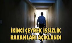 İkinci çeyrek işsizlik rakamları açıklandı