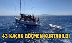 43 kaçak göçmen kurtarıldı