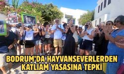 Bodrum’da hayvanseverlerden katliam yasasına tepki
