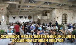 Cezaevinde meslek öğrenen hükümlüler iş kollarında istihdam ediliyor