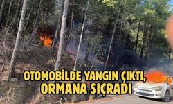 Otomobilde yangın çıktı, ormana sıçradı