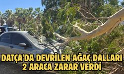 Datça'da devrilen ağaç dalları 2 araca zarar verdi
