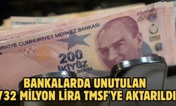 Bankalarda unutulan 732 milyon lira TMSF'ye aktarıldı
