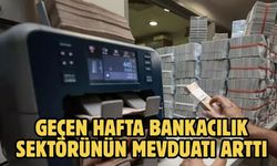 GEÇEN HAFTA BANKACILIK SEKTÖRÜNÜN MEVDUATI ARTTI